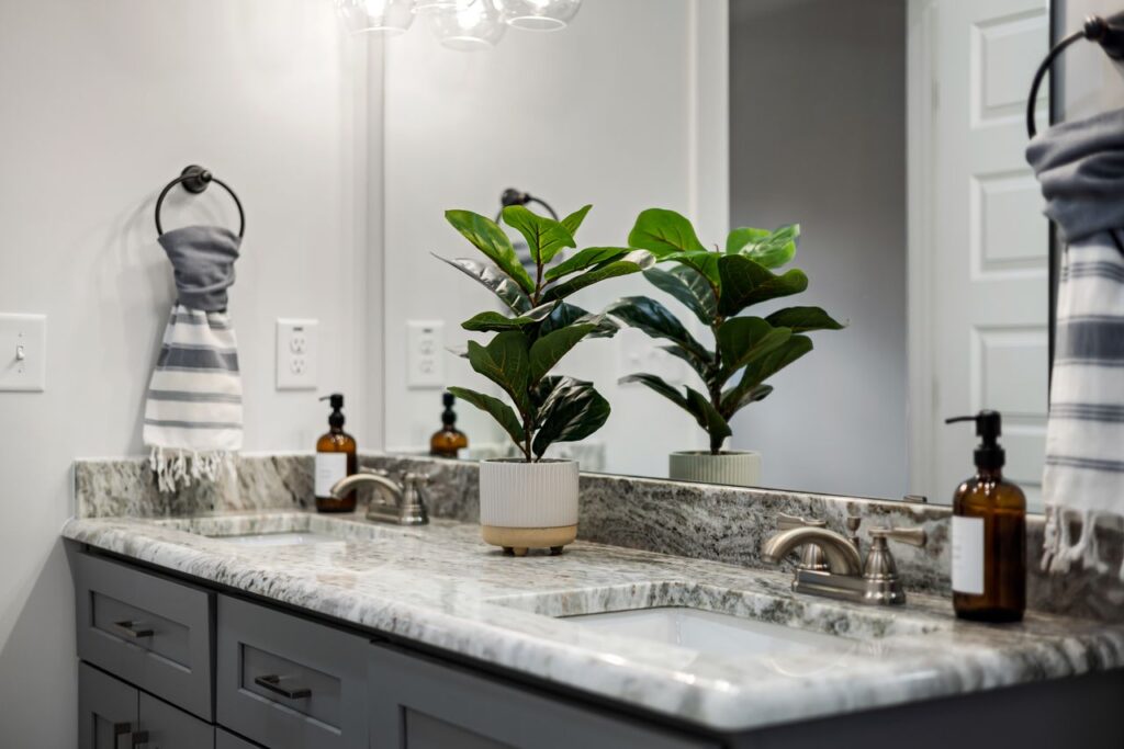 Elegant modern bathroom featuring twin sinks, granite countertop, and lush houseplant.