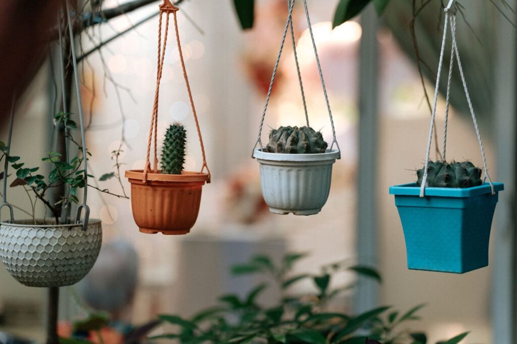 Colorful hanging pots with cacti in a bright, indoor garden space.