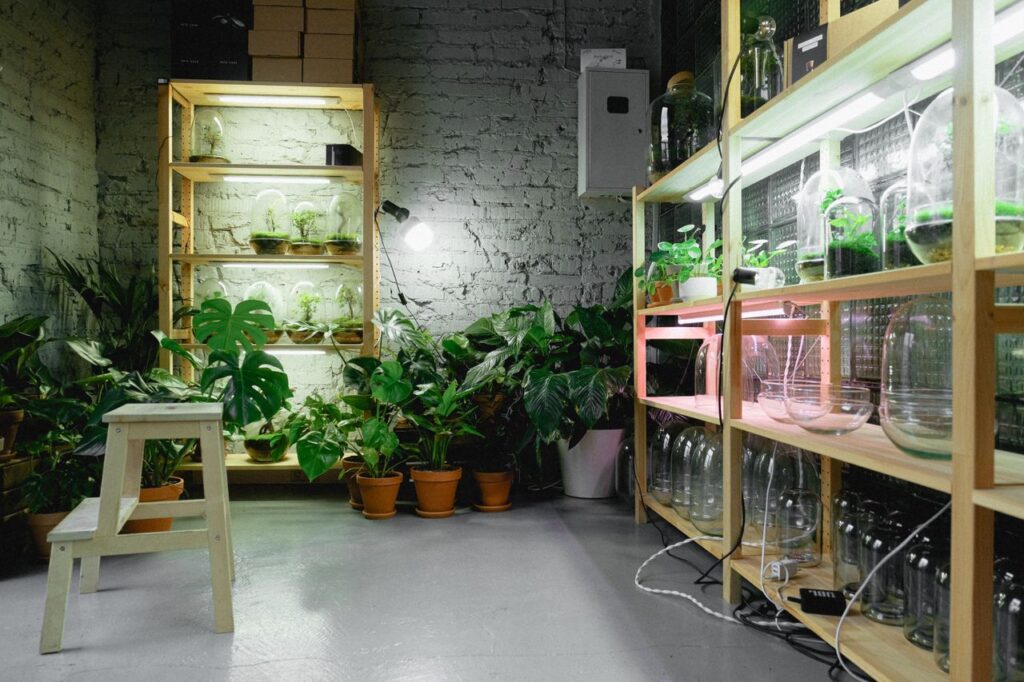 A cozy indoor plant room featuring shelves with grow lights and vibrant greenery.