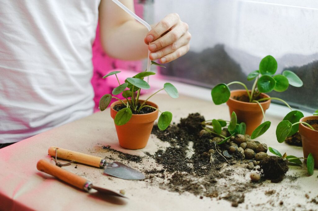 A person nurturing potted plants with gardening tools on a table.