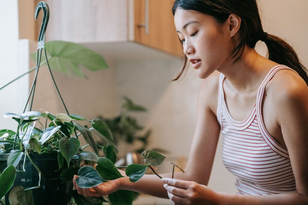 Young woman tending to houseplants in a cozy indoor setting with natural light.