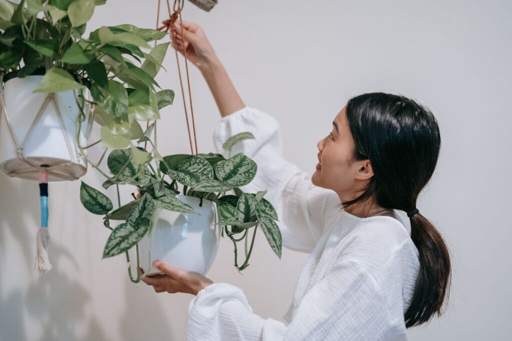 Side view of an Asian woman arranging hanging potted plants indoors.