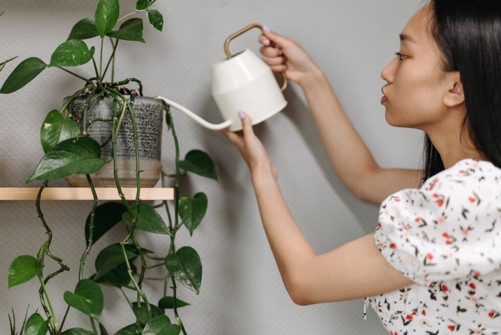 An Asian woman gently waters a lush indoor potted plant in a home setting.